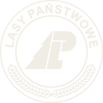 Second Logo